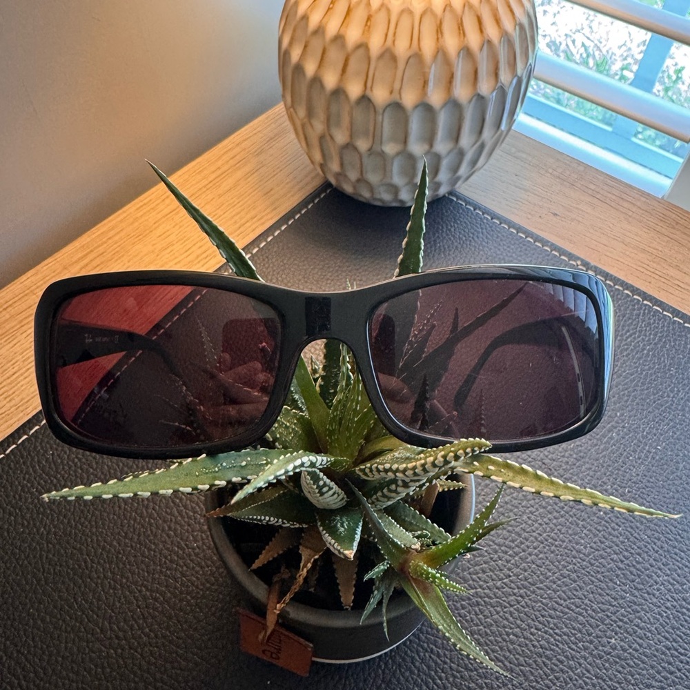 Ray-Ban Black Frame Sunglasses with Dark Lenses